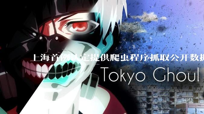 上海首例认定提供爬虫程序抓取公开数据构成提供侵入计算机信息系统程序罪案，该案件有哪些细节值得关注？