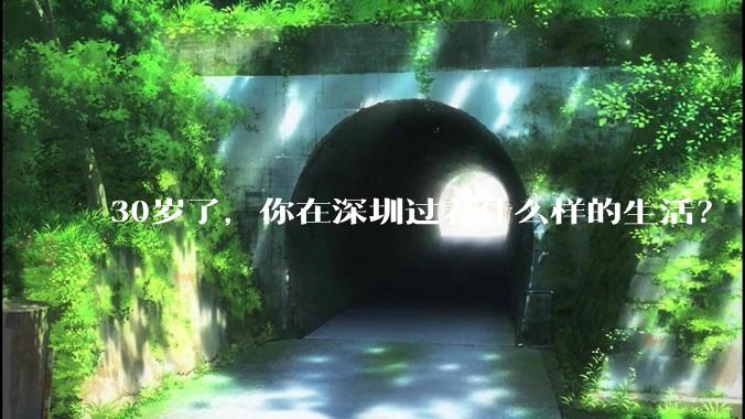 30岁了，你在深圳过着什么样的生活？